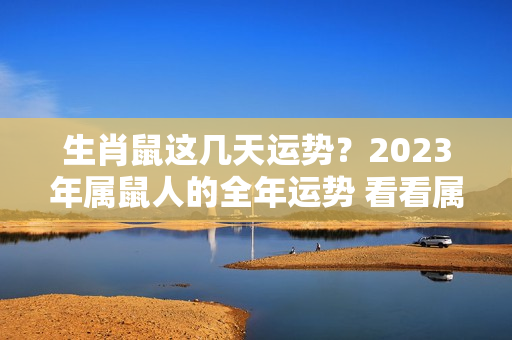 生肖鼠这几天运势？2023年属鼠人的全年运势 看看属鼠人2023年运势运程如何