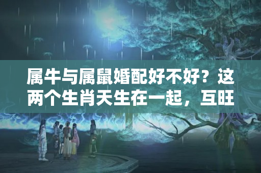 属牛与属鼠婚配好不好？这两个生肖天生在一起，互旺财运，婚后日子是越过越富裕！