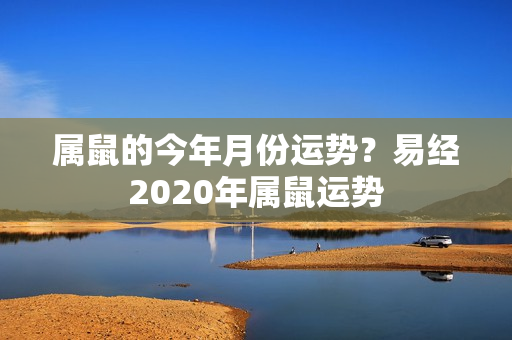 属鼠的今年月份运势？易经2020年属鼠运势