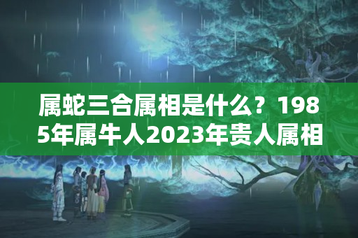 属蛇三合属相是什么？1985年属牛人2023年贵人属相财运精准预测