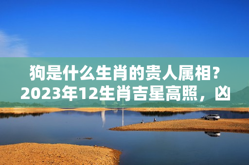 狗是什么生肖的贵人属相？2023年12生肖吉星高照，凶星避让（二）