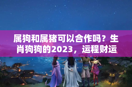 属狗和属猪可以合作吗？生肖狗狗的2023，运程财运提前知~