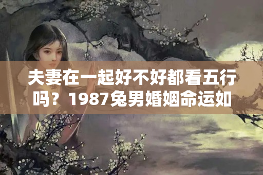 夫妻在一起好不好都看五行吗？1987兔男婚姻命运如何