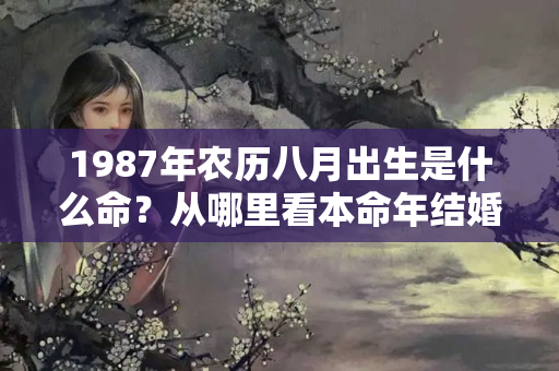 1987年农历八月出生是什么命？从哪里看本命年结婚日