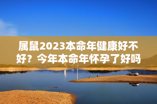 属鼠2023本命年健康好不好？今年本命年怀孕了好吗