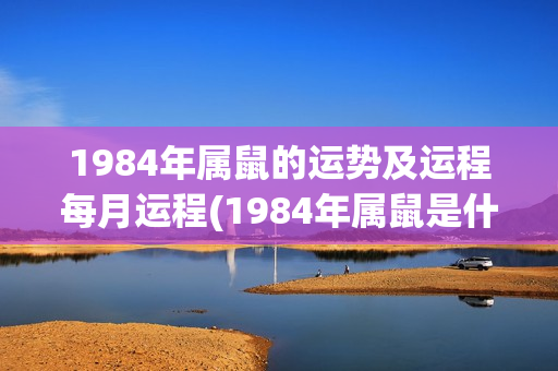 1984年属鼠的运势及运程每月运程(1984年属鼠是什么命)