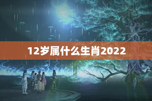 12岁属什么生肖2022