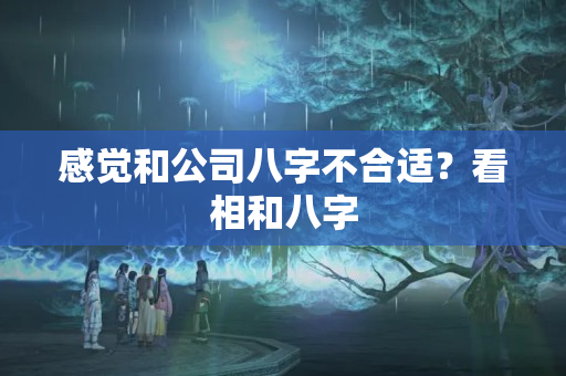 感觉和公司八字不合适？看相和八字