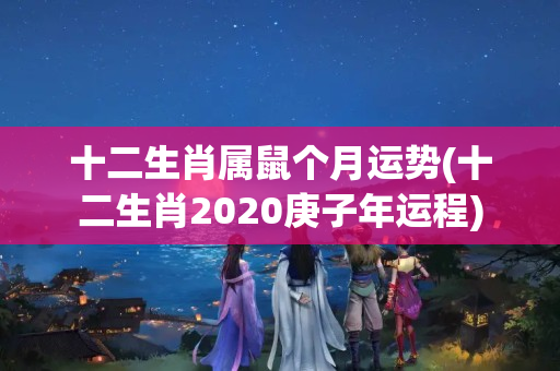 十二生肖属鼠个月运势(十二生肖2020庚子年运程)