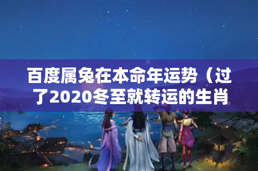 百度属兔在本命年运势（过了2020冬至就转运的生肖）