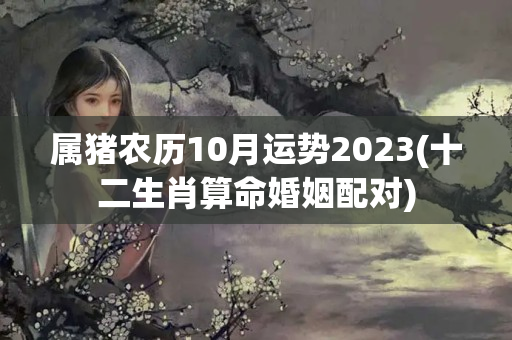 属猪农历10月运势2023(十二生肖算命婚姻配对)