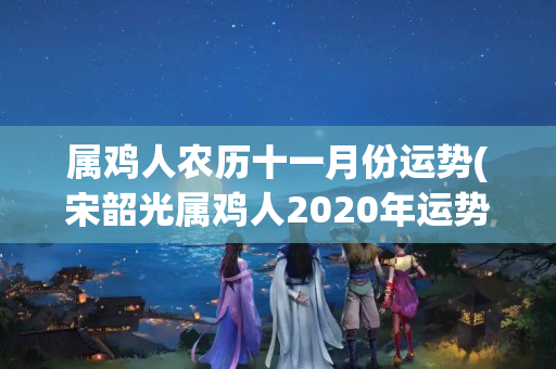 属鸡人农历十一月份运势(宋韶光属鸡人2020年运势)