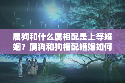 属狗和什么属相配是上等婚姻？属狗和狗相配婚姻如何 相配吗