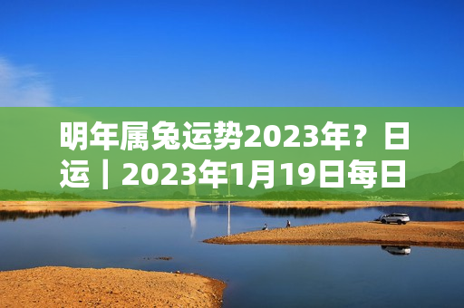 明年属兔运势2023年？日运｜2023年1月19日每日星座运势集