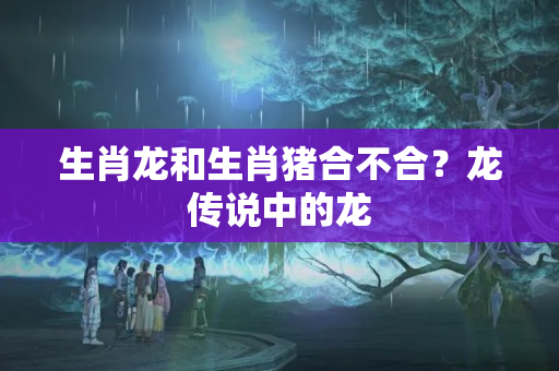 生肖龙和生肖猪合不合？龙传说中的龙