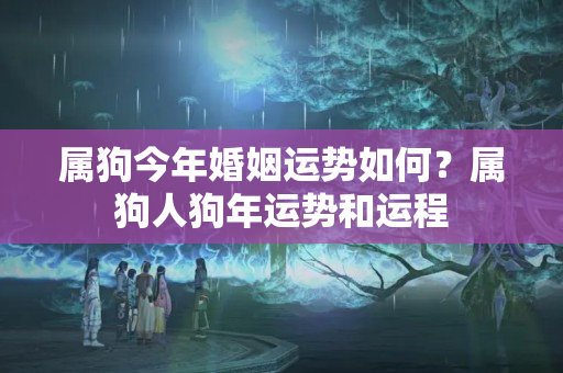 属狗今年婚姻运势如何？属狗人狗年运势和运程