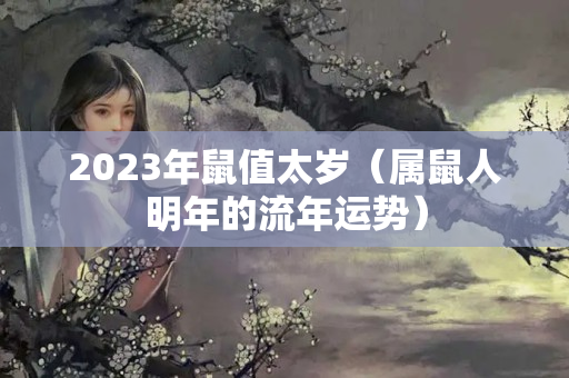 2023年鼠值太岁（属鼠人明年的流年运势）