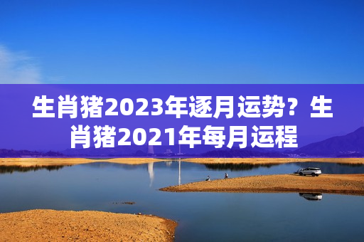 生肖猪2023年逐月运势？生肖猪2021年每月运程