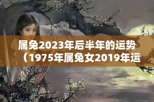 属兔2023年后半年的运势（1975年属兔女2019年运势）