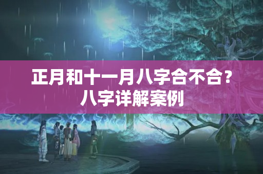 正月和十一月八字合不合？八字详解案例