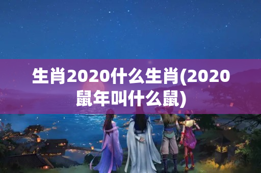 生肖2020什么生肖(2020鼠年叫什么鼠)