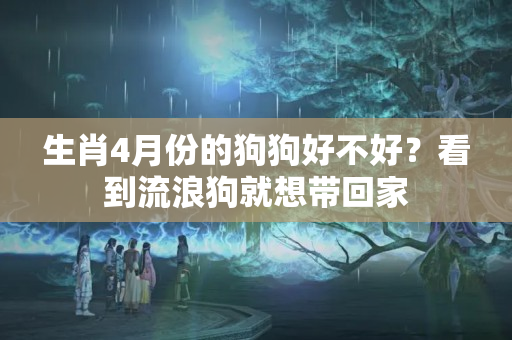 生肖4月份的狗狗好不好？看到流浪狗就想带回家