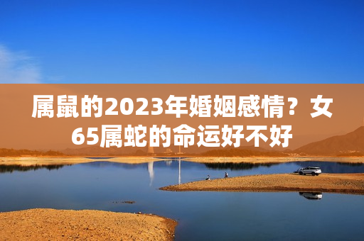 属鼠的2023年婚姻感情？女65属蛇的命运好不好