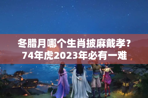 冬腊月哪个生肖披麻戴孝？74年虎2023年必有一难