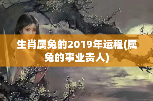 生肖属兔的2019年运程(属兔的事业贵人)