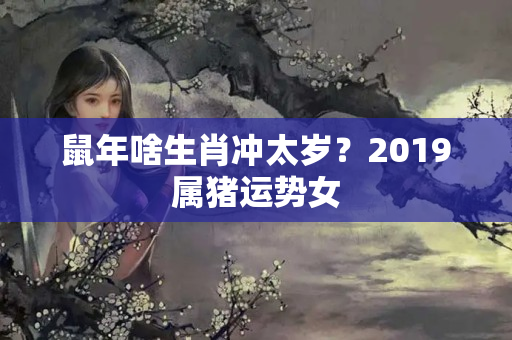 鼠年啥生肖冲太岁？2019属猪运势女