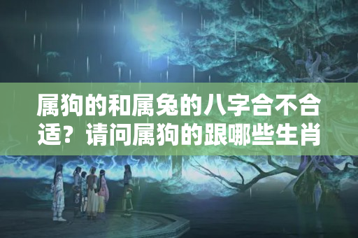 属狗的和属兔的八字合不合适？请问属狗的跟哪些生肖相合