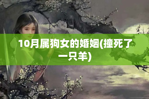 10月属狗女的婚姻(撞死了一只羊)