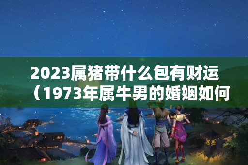 2023属猪带什么包有财运（1973年属牛男的婚姻如何）