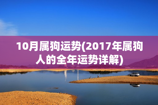 10月属狗运势(2017年属狗人的全年运势详解)