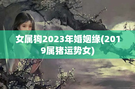 女属狗2023年婚姻缘(2019属猪运势女)