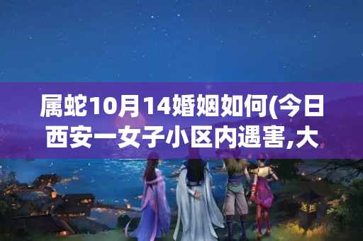 属蛇10月14婚姻如何(今日西安一女子小区内遇害,大批警力抵达现场处置)