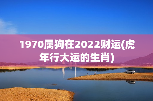 1970属狗在2022财运(虎年行大运的生肖)