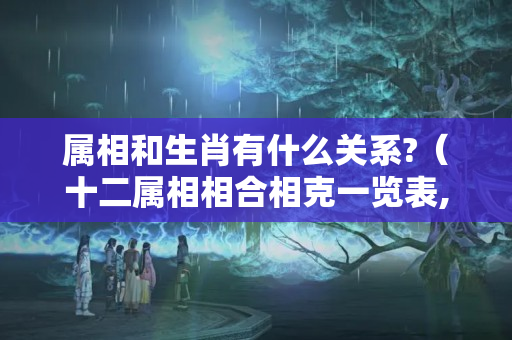 属相和生肖有什么关系?（十二属相相合相克一览表,十二生肖的每个生肖的相冲相合）