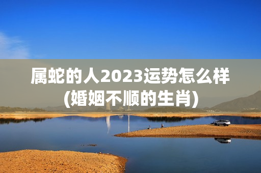 属蛇的人2023运势怎么样(婚姻不顺的生肖)