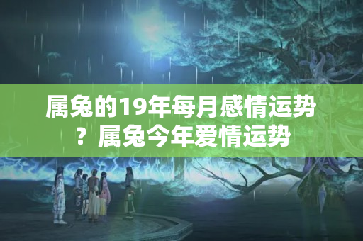 属兔的19年每月感情运势？属兔今年爱情运势