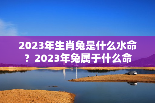 2023年生肖兔是什么水命？2023年兔属于什么命