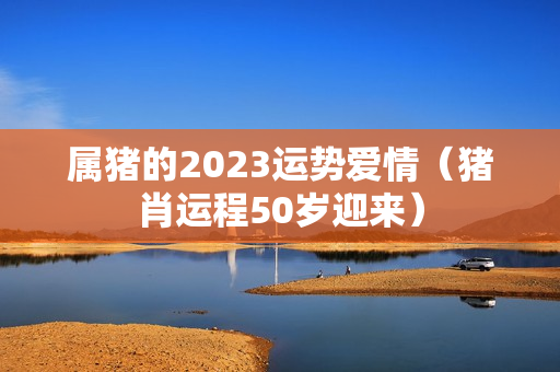 属猪的2023运势爱情（猪肖运程50岁迎来）