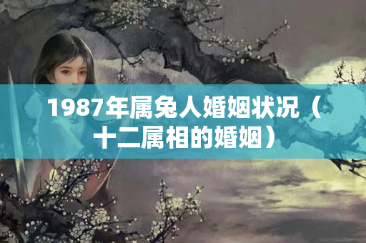 1987年属兔人婚姻状况（十二属相的婚姻）