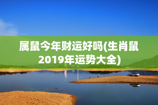 属鼠今年财运好吗(生肖鼠2019年运势大全)