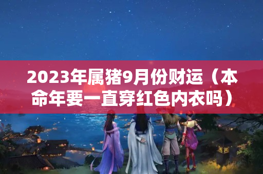 2023年属猪9月份财运（本命年要一直穿红色内衣吗）