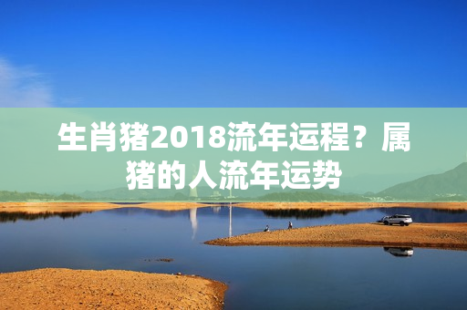 生肖猪2018流年运程？属猪的人流年运势