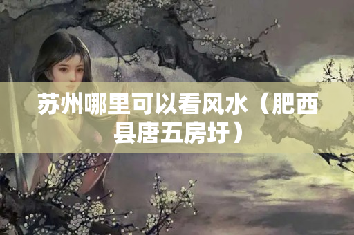 苏州哪里可以看风水（肥西县唐五房圩）