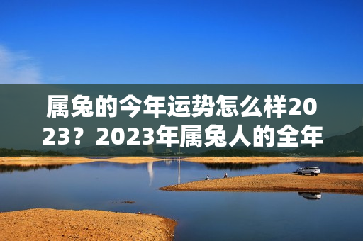 属兔的今年运势怎么样2023？2023年属兔人的全年运势详解