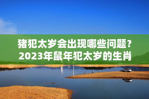 猪犯太岁会出现哪些问题？2023年鼠年犯太岁的生肖是什么