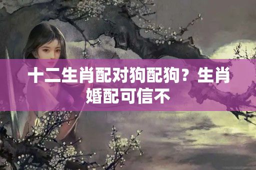 十二生肖配对狗配狗？生肖婚配可信不